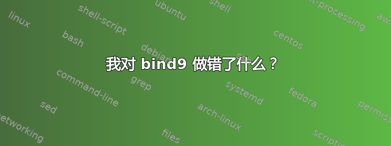 我对 bind9 做错了什么？