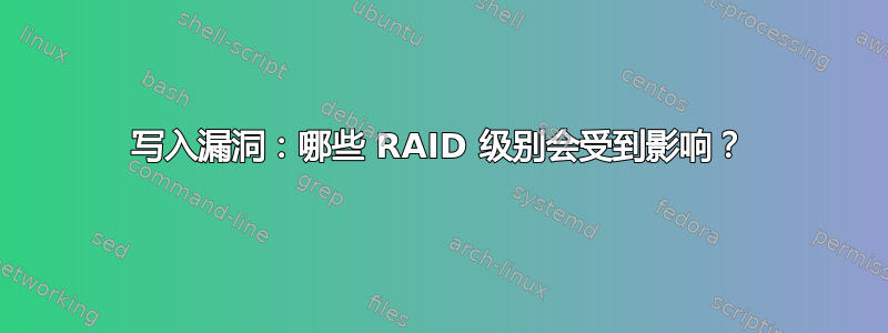 写入漏洞：哪些 RAID 级别会受到影响？