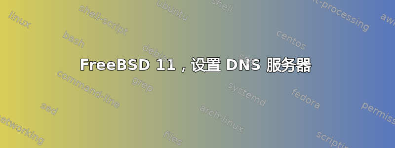 FreeBSD 11，设置 DNS 服务器