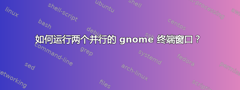 如何运行两个并行的 gnome 终端窗口？