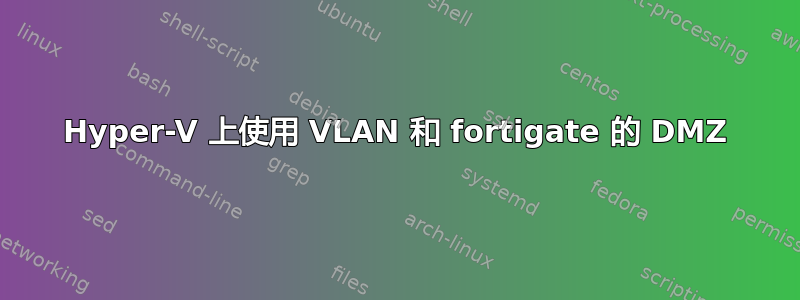 Hyper-V 上使用 VLAN 和 fortigate 的 DMZ