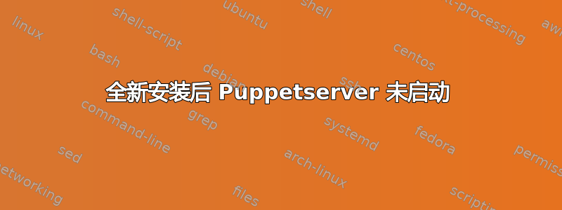 全新安装后 Puppetserver 未启动