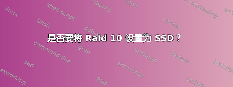 是否要将 Raid 10 设置为 SSD？