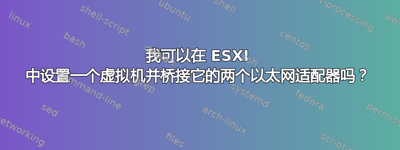 我可以在 ESXI 中设置一个虚拟机并桥接它的两个以太网适配器吗？