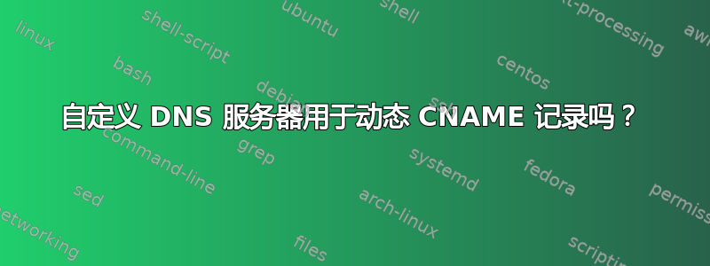 自定义 DNS 服务器用于动态 CNAME 记录吗？