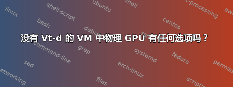 没有 Vt-d 的 VM 中物理 GPU 有任何选项吗？