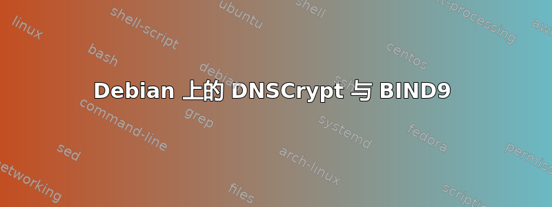 Debian 上的 DNSCrypt 与 BIND9