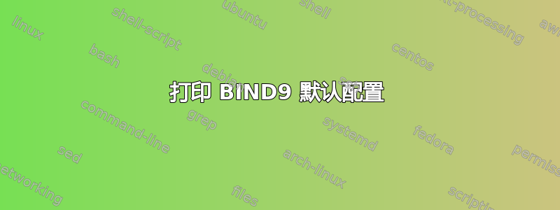 打印 BIND9 默认配置