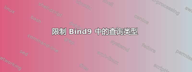 限制 Bind9 中的查询类型