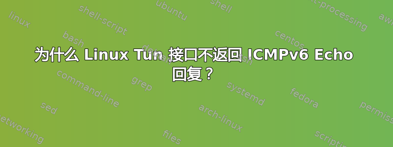 为什么 Linux Tun 接口不返回 ICMPv6 Echo 回复？