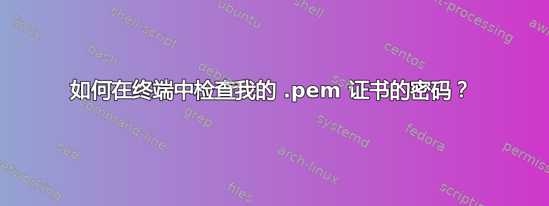 如何在终端中检查我的 .pem 证书的密码？