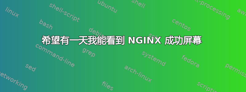 希望有一天我能看到 NGINX 成功屏幕