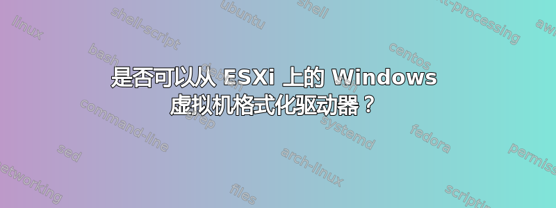 是否可以从 ESXi 上的 Windows 虚拟机格式化驱动器？