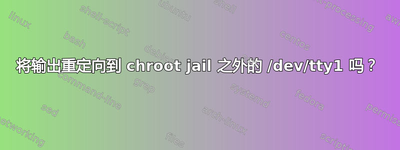 将输出重定向到 chroot jail 之外的 /dev/tty1 吗？