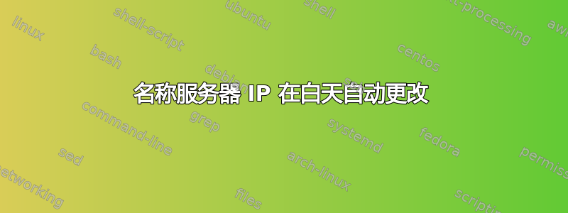 名称服务器 IP 在白天自动更改