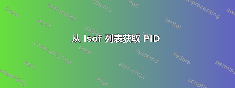 从 lsof 列表获取 PID