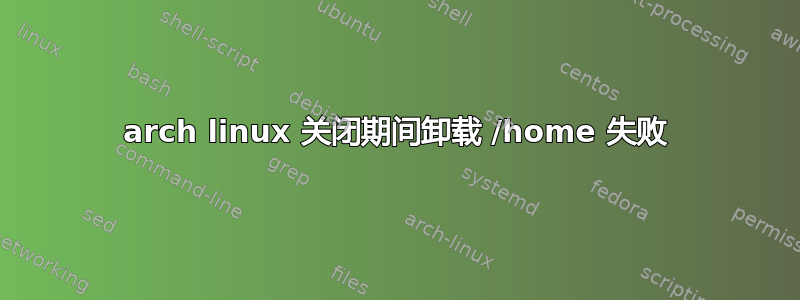 arch linux 关闭期间卸载 /home 失败