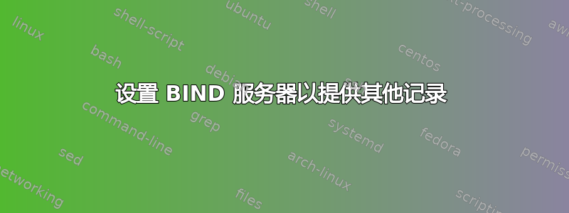 设置 BIND 服务器以提供其他记录