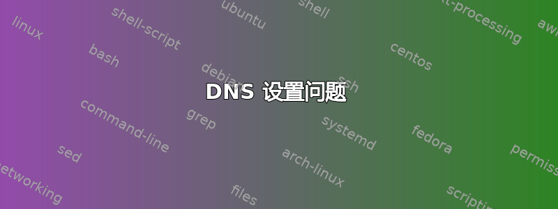 DNS 设置问题