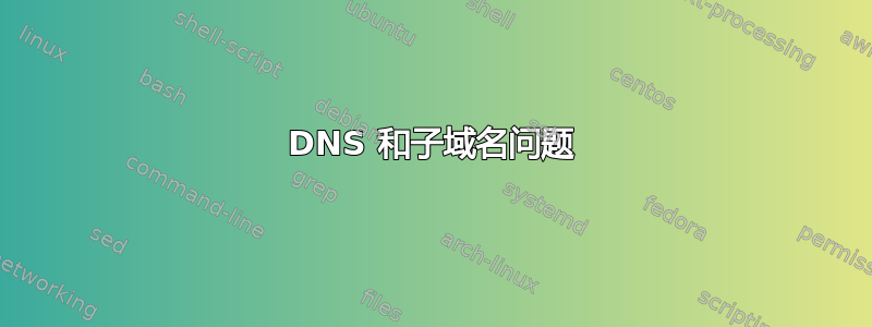 DNS 和子域名问题