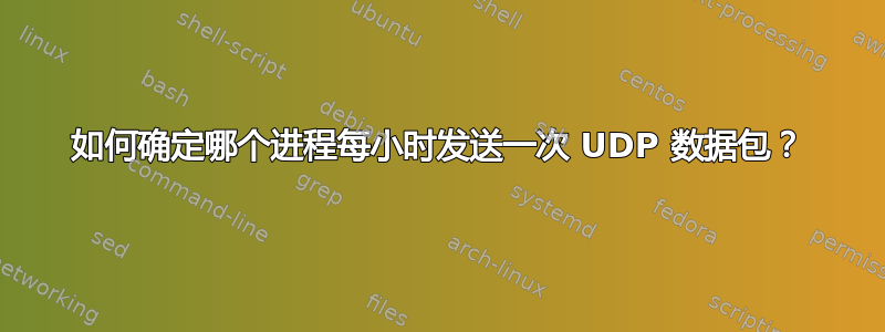 如何确定哪个进程每小时发送一次 UDP 数据包？