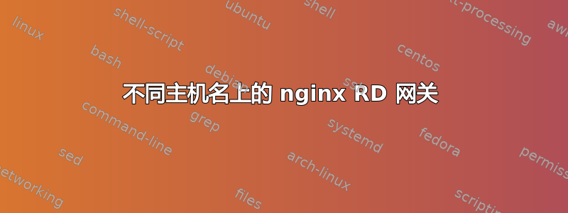 不同主机名上的 nginx RD 网关