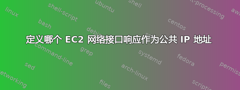 定义哪个 EC2 网络接口响应作为公共 IP 地址