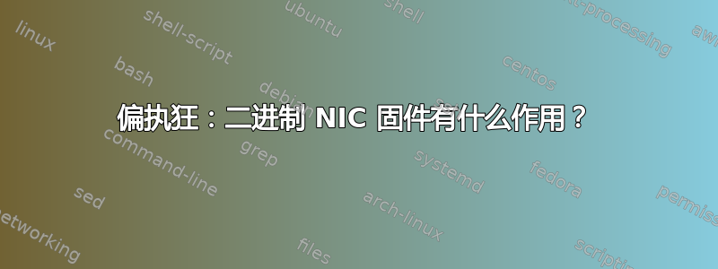 偏执狂：二进制 NIC 固件有什么作用？