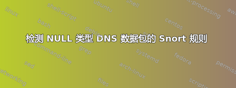 检测 NULL 类型 DNS 数据包的 Snort 规则