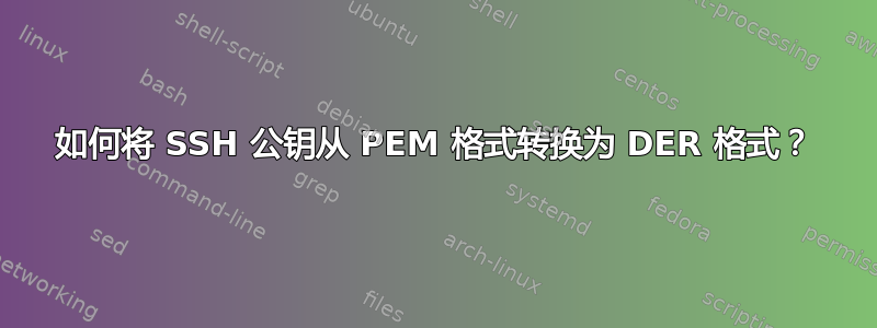 如何将 SSH 公钥从 PEM 格式转换为 DER 格式？