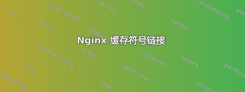 Nginx 缓存符号链接