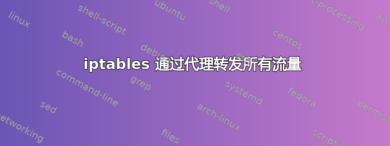 iptables 通过代理转发所有流量