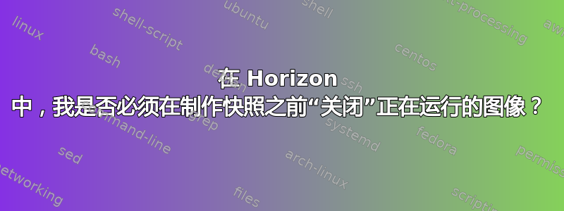 在 Horizo​​n 中，我是否必须在制作快照之前“关闭”正在运行的图像？