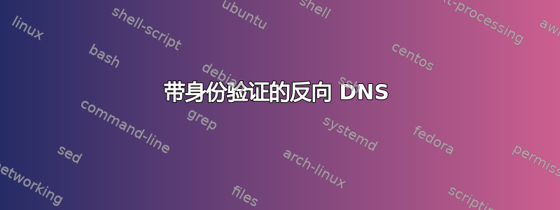 带身份验证的反向 DNS