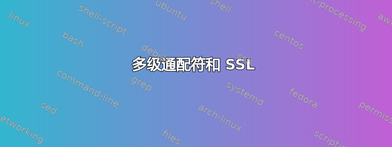 多级通配符和 SSL