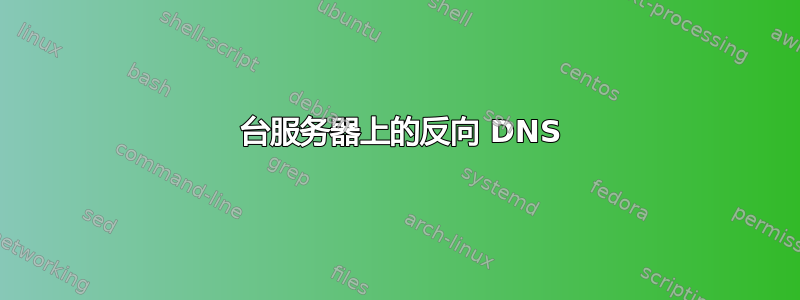 2 台服务器上的反向 DNS