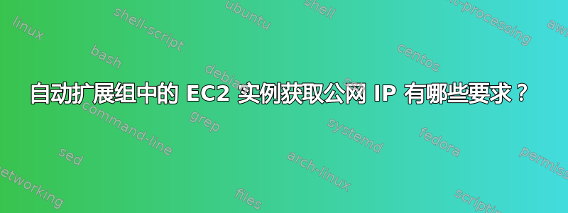 自动扩展组中的 EC2 实例获取公网 IP 有哪些要求？