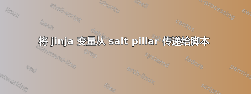 将 jinja 变量从 salt pillar 传递给脚本