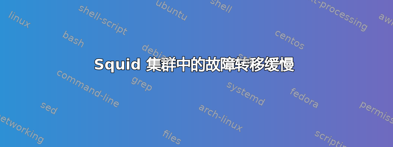 Squid 集群中的故障转移缓慢