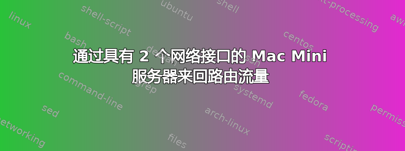 通过具有 2 个网络接口的 Mac Mini 服务器来回路由流量