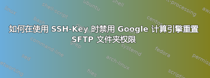 如何在使用 SSH-Key 时禁用 Google 计算引擎重置 SFTP 文件夹权限