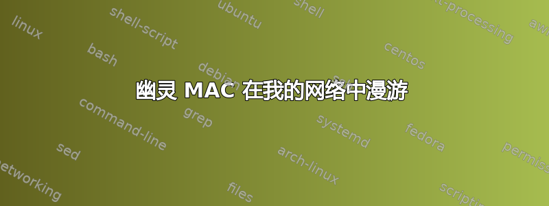 幽灵 MAC 在我的网络中漫游