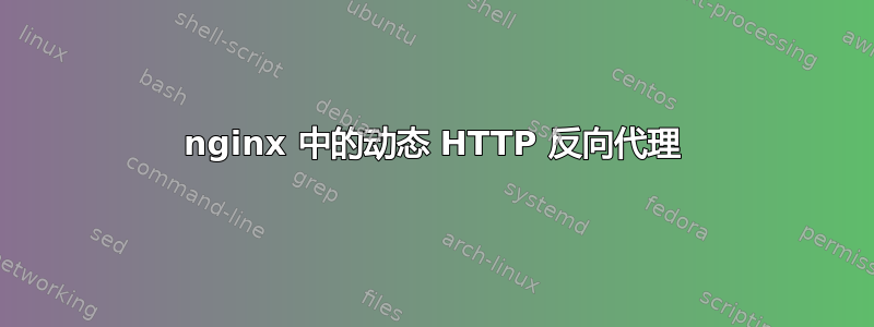 nginx 中的动态 HTTP 反向代理