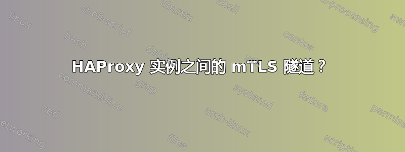 HAProxy 实例之间的 mTLS 隧道？