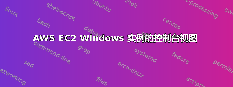 AWS EC2 Windows 实例的控制台视图