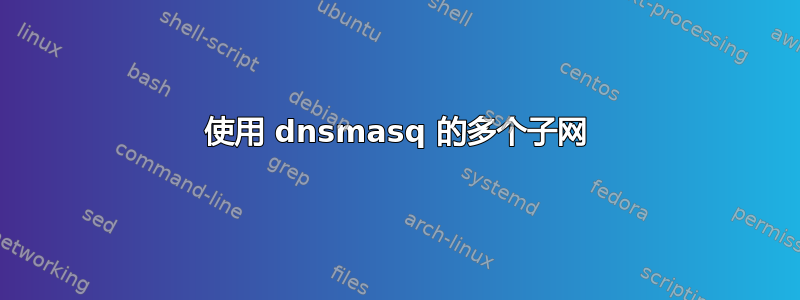 使用 dnsmasq 的多个子网