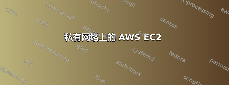 私有网络上的 AWS EC2