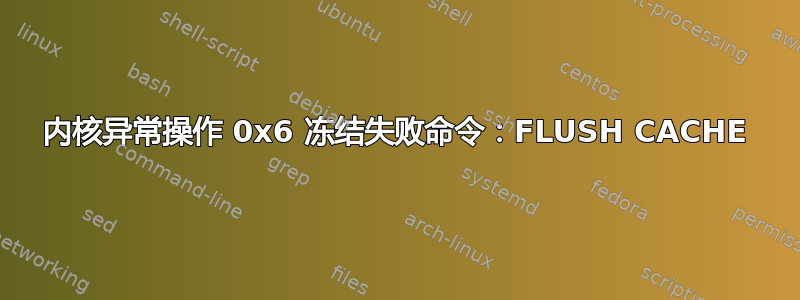 内核异常操作 0x6 冻结失败命令：FLUSH CACHE