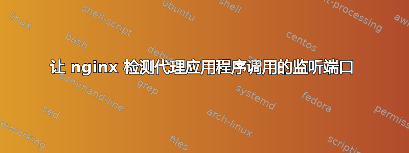 让 nginx 检测代理应用程序调用的监听端口