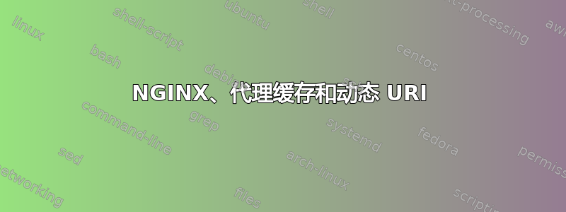 NGINX、代理缓存和动态 URI